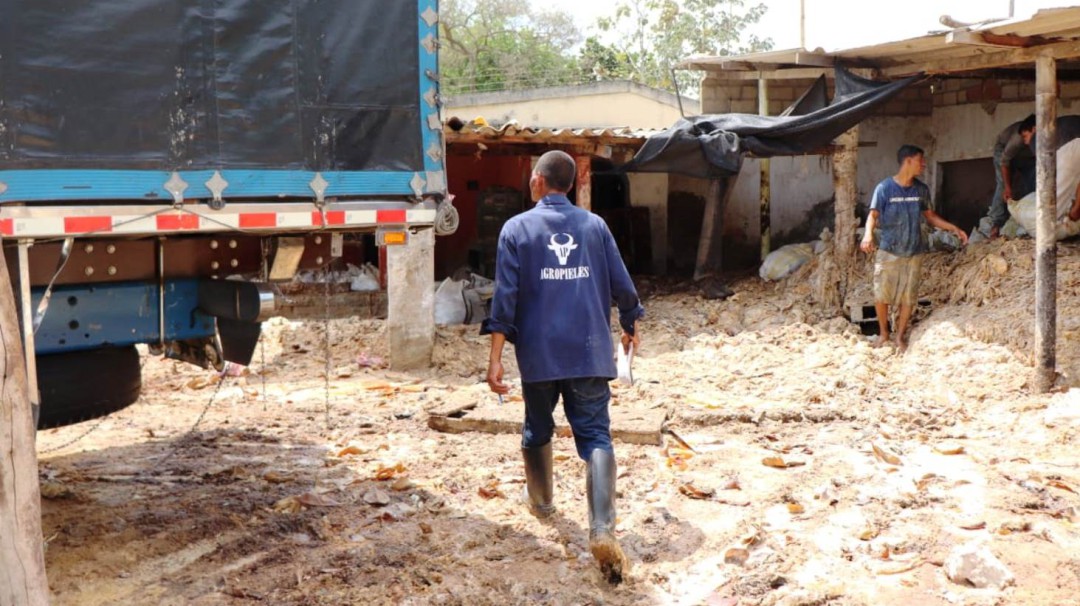 Medida preventiva a empresa por mal manejo de cuero de bovinos en Turbaco