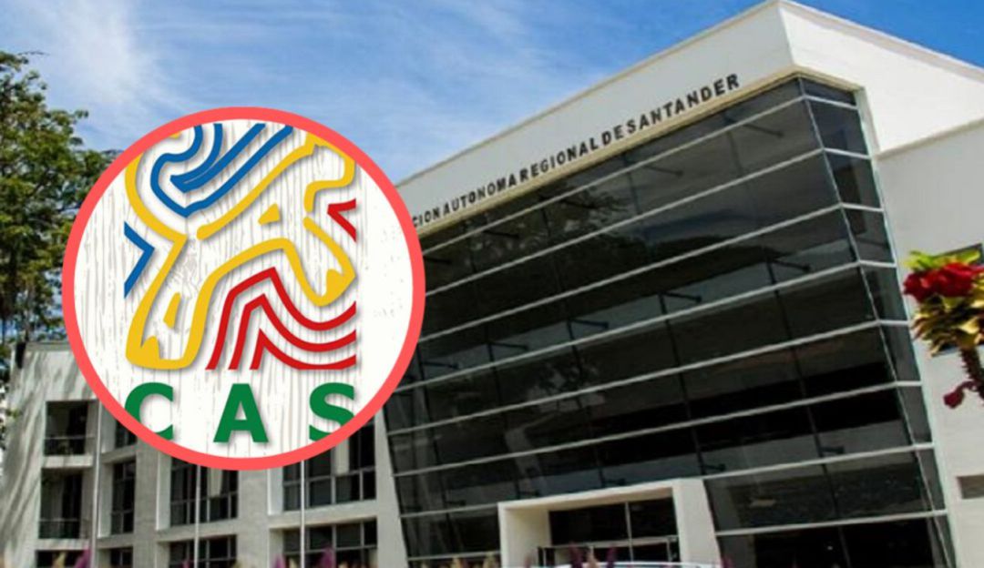 Bucaramanga Car Contratos Procuraduría: Procuraduría formula cargos contra ex director de la CAS