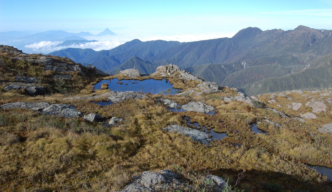 Explotación minera y ocupación irregular del Parque Nacional los Farallones: Explotación minera y ocupación irregular del Parque Nacional los Farallones