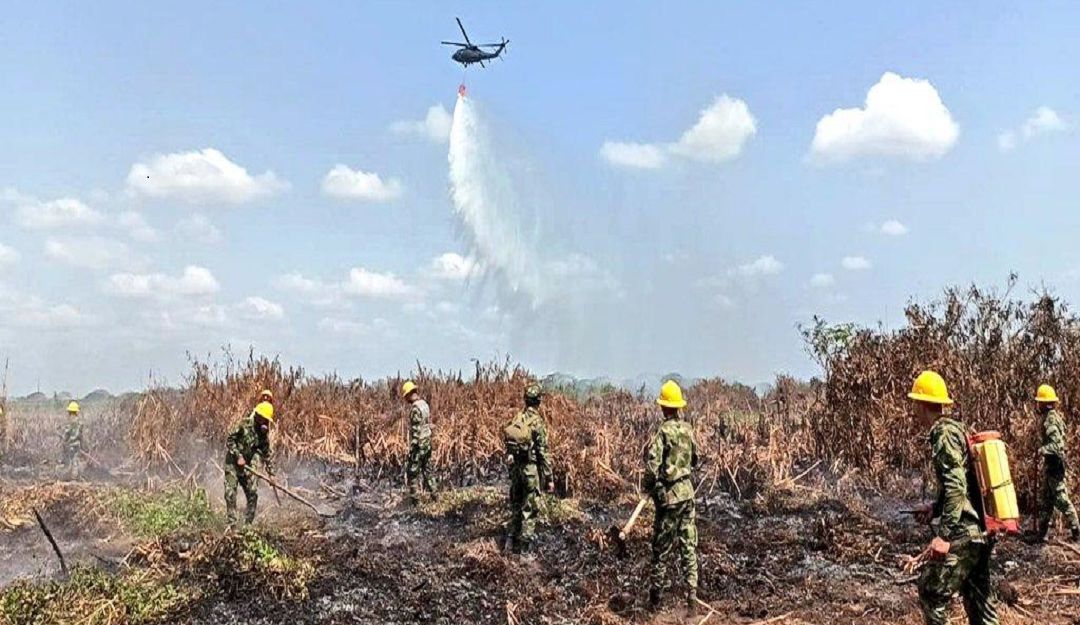 Ciénaga de Corralito incendio forestal Cereté Córdoba: Este lunes quedaría apagado el incendio en la Ciénaga de Corralito
