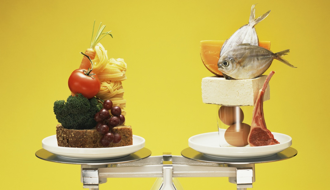 La prevención de la obesidad es posible: Prevenir la obesidad es mucho más económico que pagar por su tratamiento