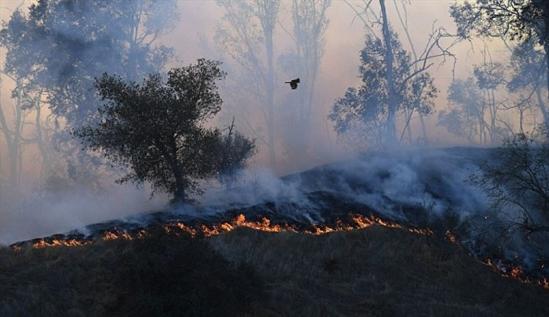 Bucaramanga emergencias temporada seca: Temporada seca en Colombia deja más de 700 incendios