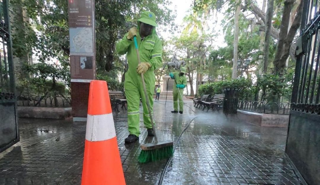 Plazas en Cartagena: En Cartagena realizan intervención en el Palito de caucho y Plaza Cervantes