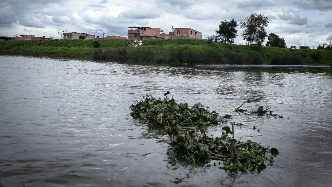 Huele mal el balance de acciones para descontaminar el río Bogotá