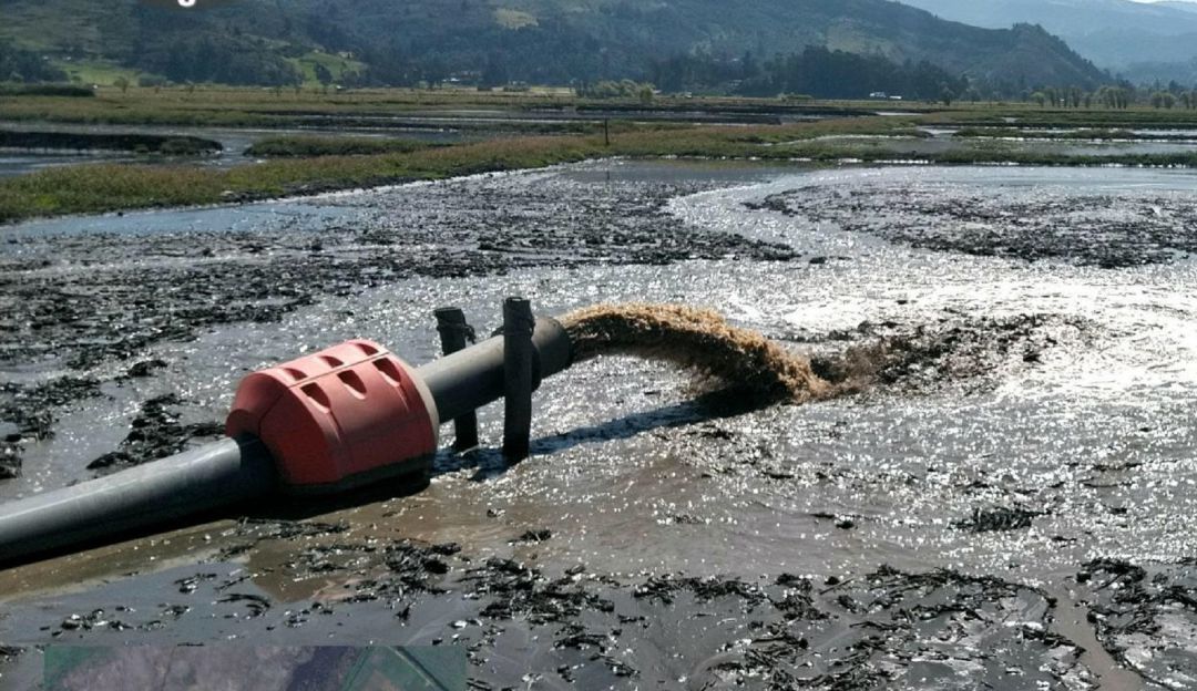 Noticias Bogotá: Más de un millón de m³ de sedimentos sacarán del Fúquene: Más de 3.000 m³ de sedimentos son extraídos al día de la laguna Fúquene