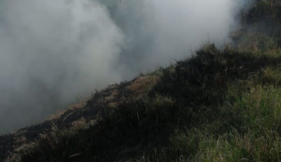 Incendios forestales en humedales: Se incendia humedal Meandro del Say en el occidente de Bogotá