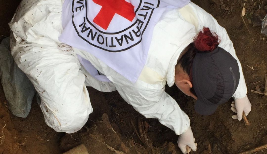 Un deterioro de la situación humanitaria en el sur del Valle advierte CICR: Un deterioro de la situación humanitaria en el sur del Valle advierte CICR