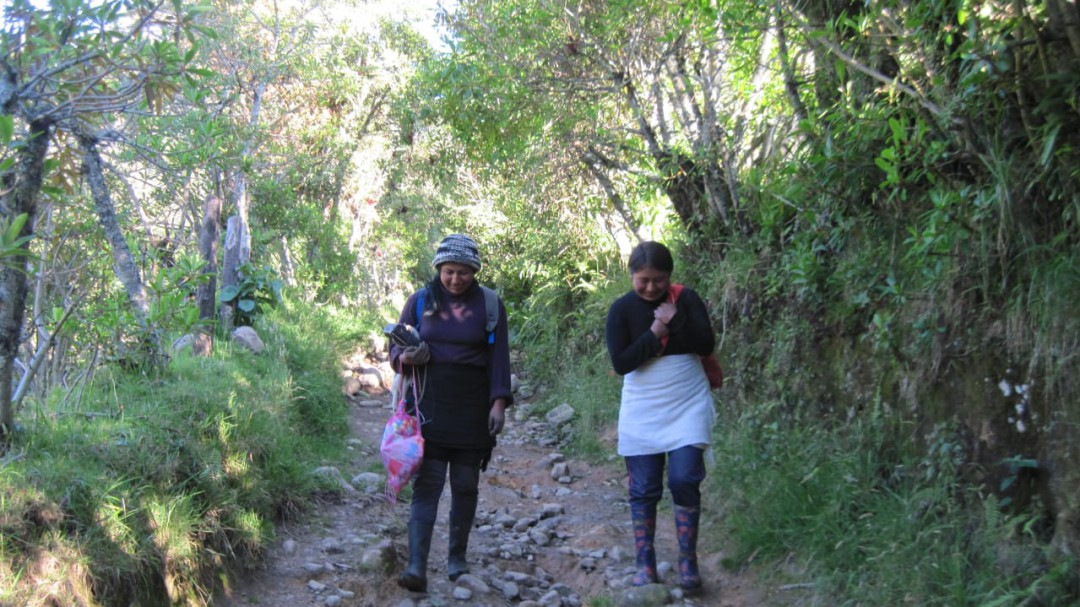El duro trabajo agrícola de la mujer indígena en Colombia