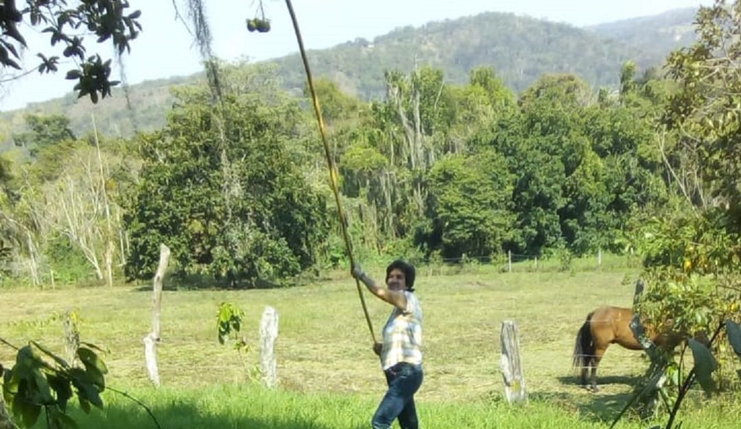 Problemas Mujer Rural: Trabajo de la mujer campesina, muy duro y muy mal remunerado