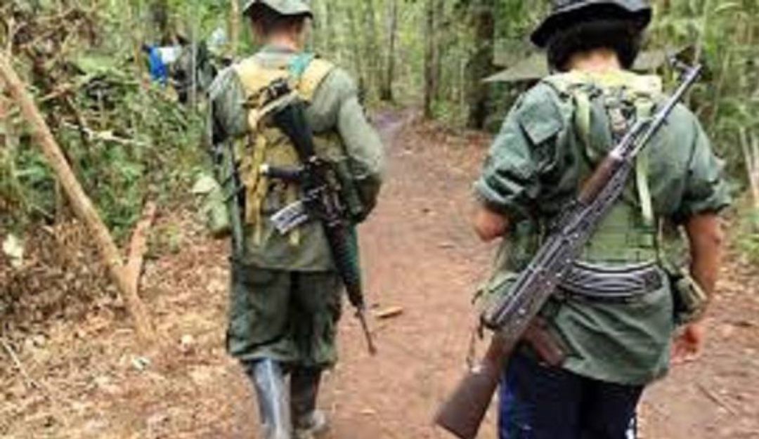 Reincorporación de mujeres excombatientes de las FARC: Más de tres mil mujeres ex-Farc le siguen apostando a la reincorporación