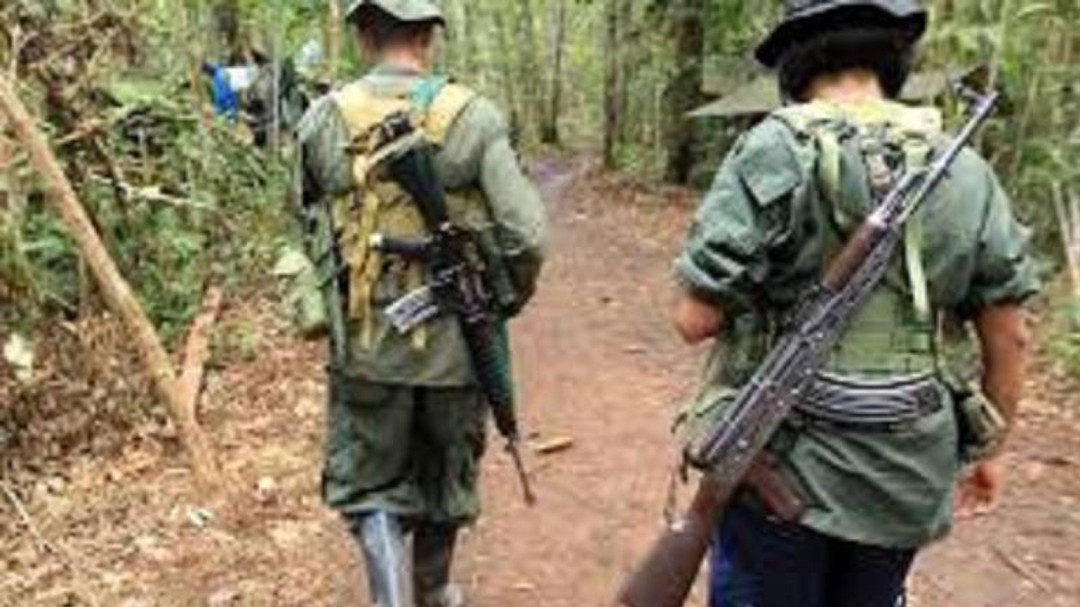 Ex combatientes de las Farc rechazaron asesinatos de compañeros
