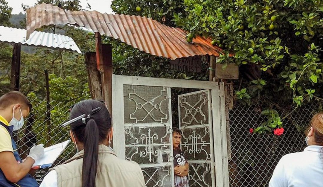 Noticias Colombia: Caso de dengue aumentan: Siguen en aumento los casos de dengue en el Tolima