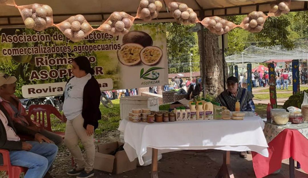 Gulupa, produccion Tolima: La gulupa, una fruta exótica que mujeres de Rovira procesan con el corazón