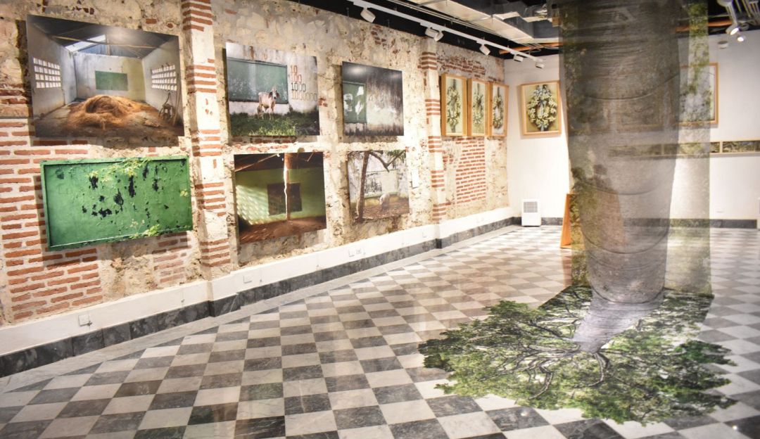 Festival de Cine Cartagena de Indias: El FICCI tendrá exposición que busca proteger bosque de los Montes de María