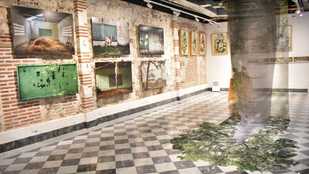 El FICCI tendrá exposición que busca proteger bosque de los Montes de María