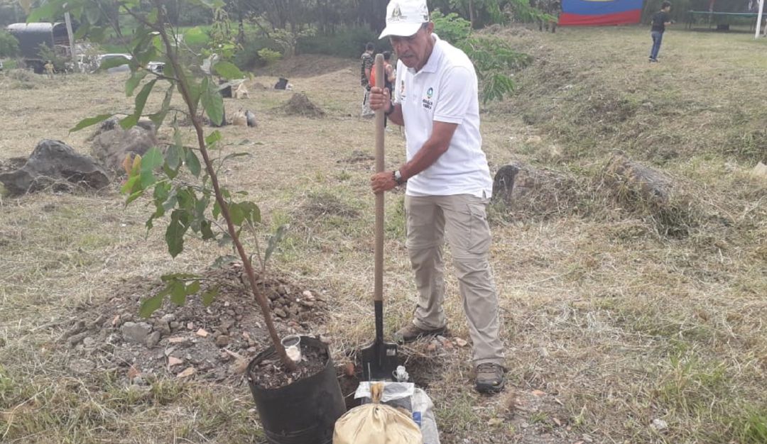 Sembratón en Ibagué: Gran jornada de sembratón en Ibagué