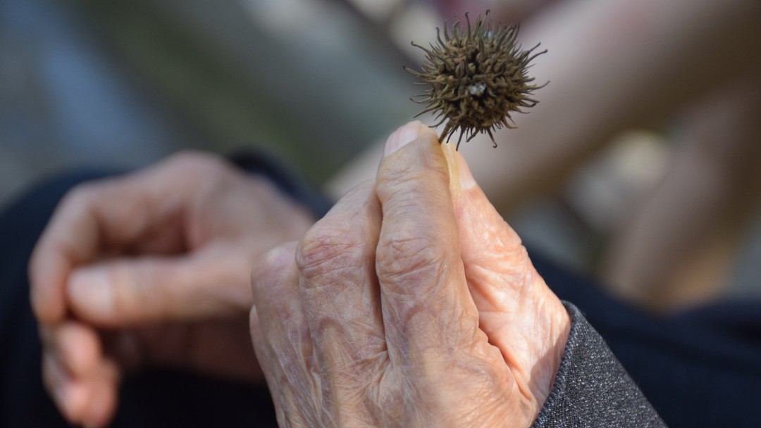En Amalfi, Antioquia, podría vivir el hombre con más edad en el mundo