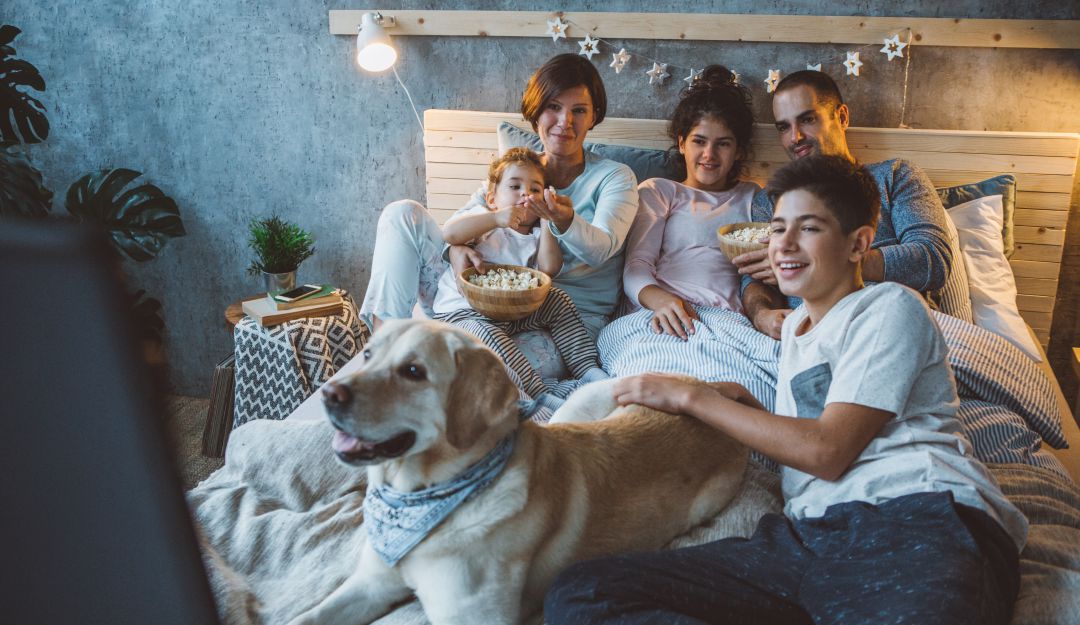 Metodo de prevención del coronavirus: Planes para hacer en casa como método de prevención por coronavirus