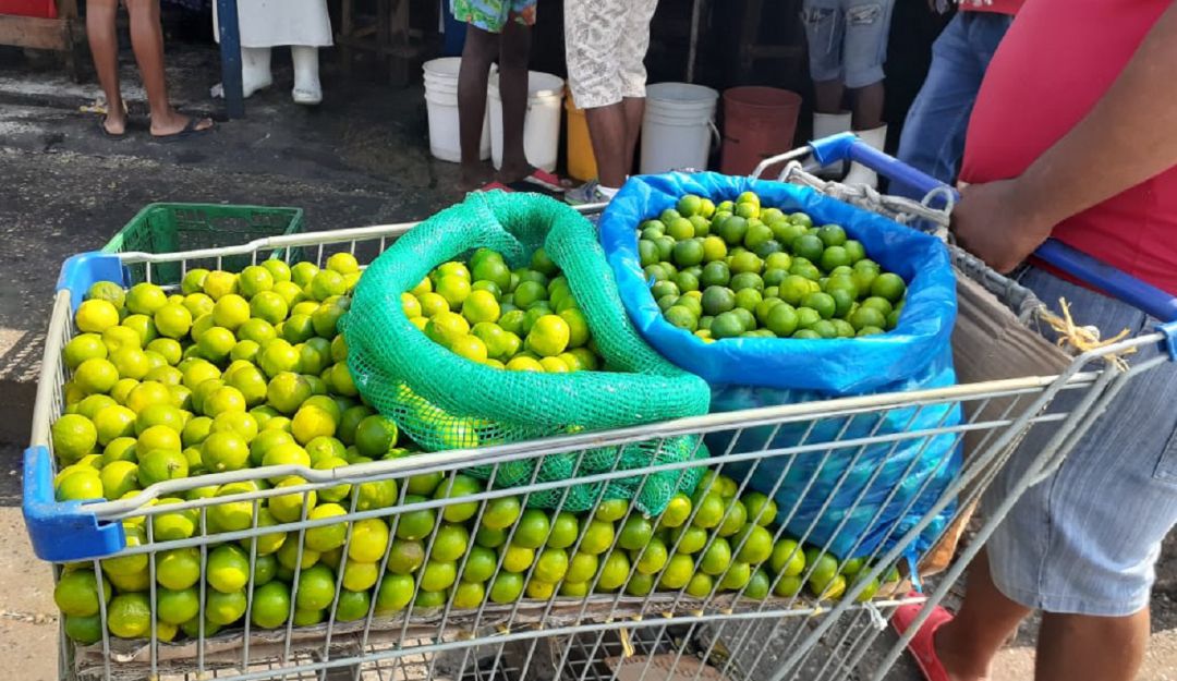 Coronavirus en Cartagena: Por el Coronavirus, se encarece el limón en Cartagena