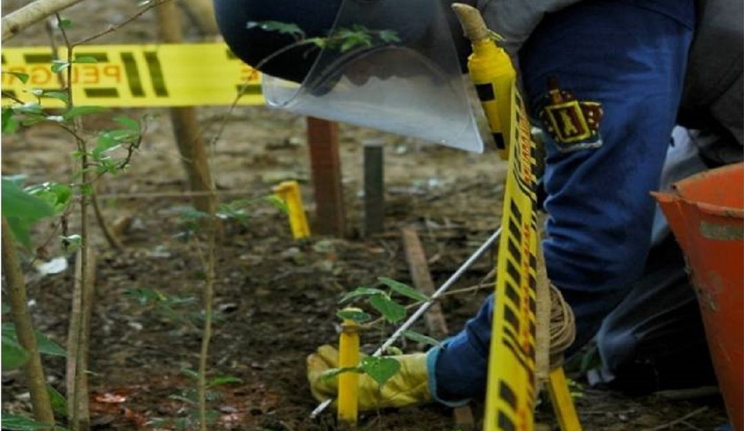 Minas antipersonales en Nariño: Grupos de desminado llegaran a Nariño