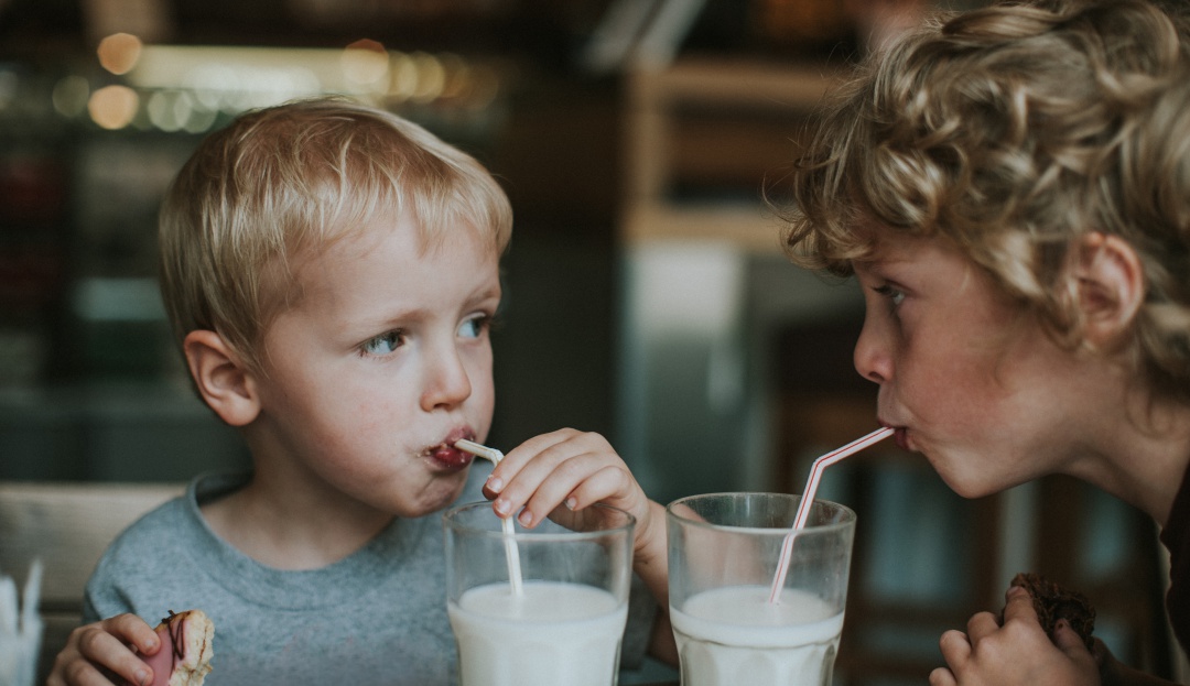 Leche adulterada: Aprenda a detectar la leche adulterada