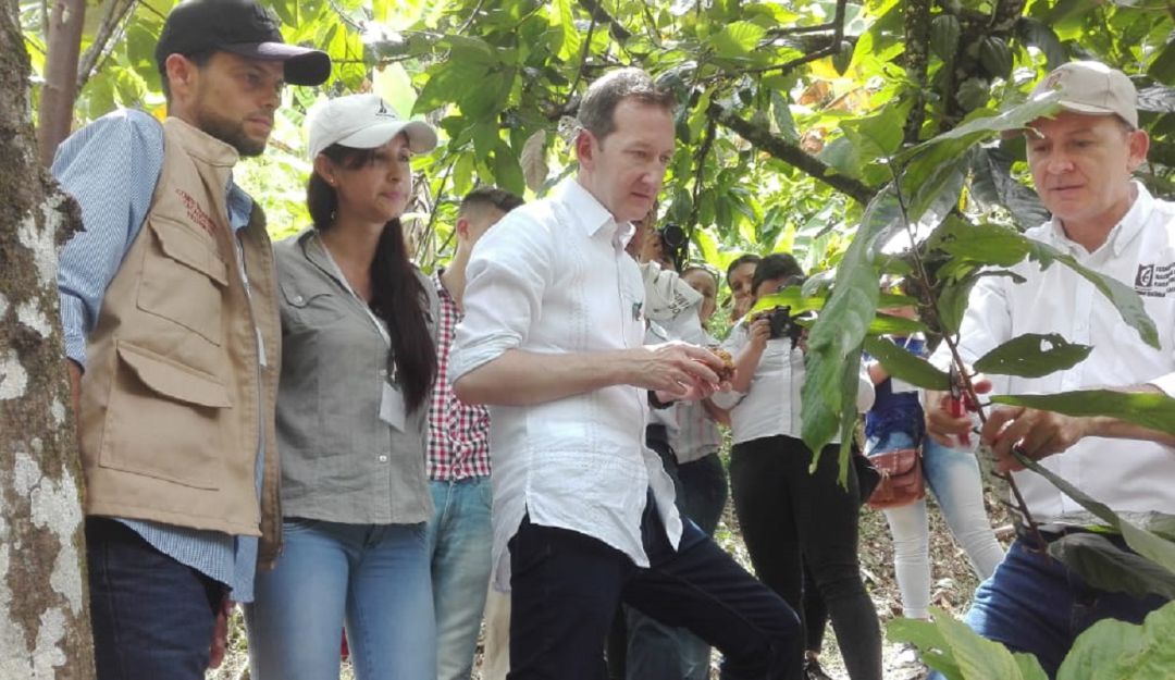 Cacao producido por mujeres se exporta al Reino Unido