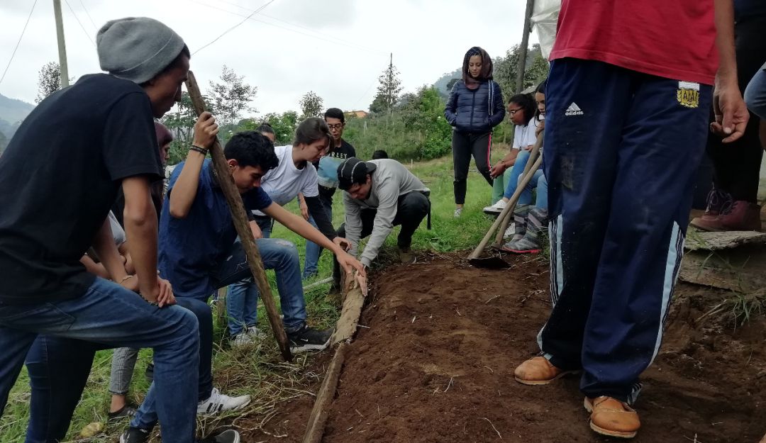 Universidad Nacional Agro: Agroecología, para que los jóvenes no dejen el campo