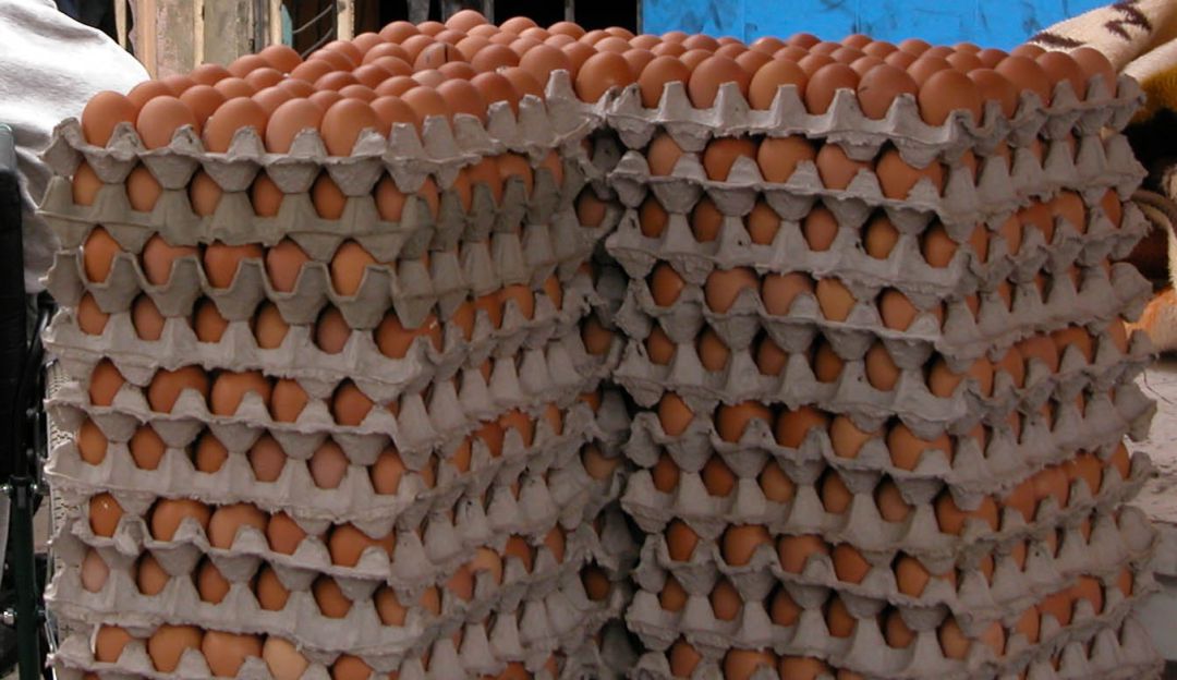 Huevos