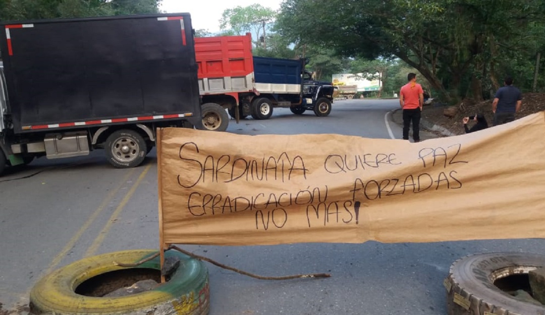 Cultivos ilícitos en Norte de Santander: Raspachines protestan por erradicación de cultivos ilícitos