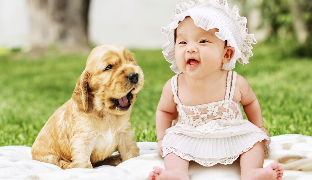 Terapia asistida con mascotas