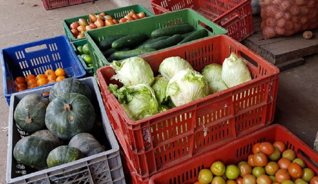 Garantizado abastecimiento de alimentos en el Valle por el Covid-19: Garantizado abastecimiento de alimentos en el Valle por el Covid-19
