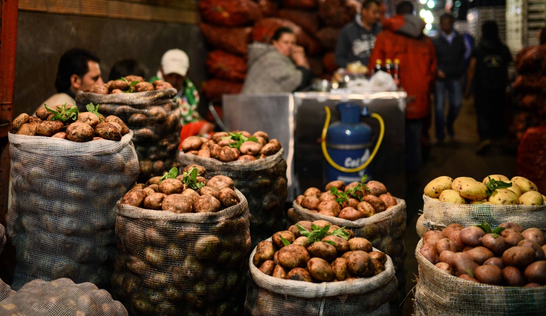 Noticias Bogotá: Corabastos le pide a los agricultores que operen en un 50%: Corabastos le pide a los agricultores que operen en un 50% de su capacidad