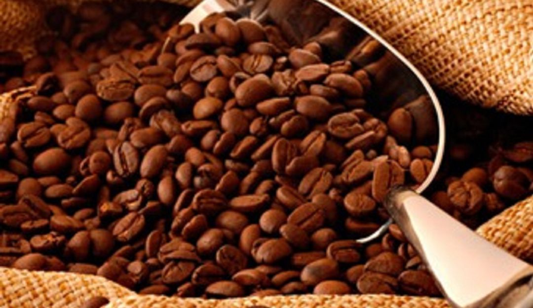 Producción de café en Colombia: Producción de café en octubre presentó una caída del 15%