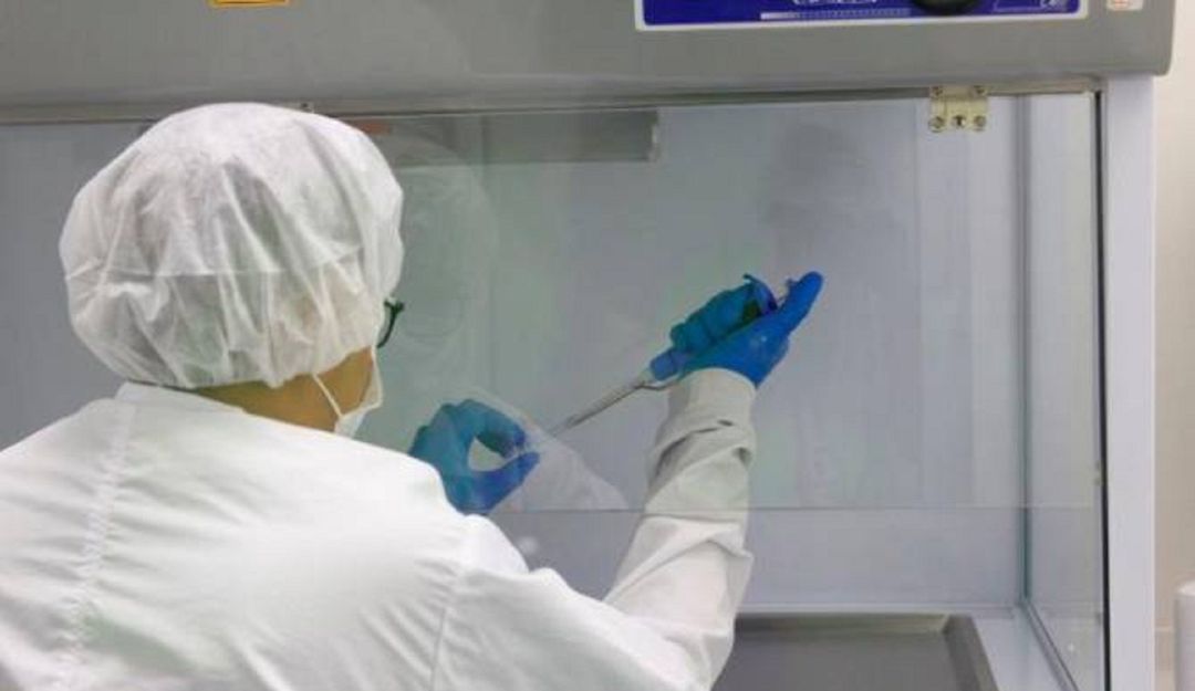 Bucaramanga coronavirus ayudas comercio pruebas coronavirus: Gremios donaron recursos para importar pruebas del Covid-19