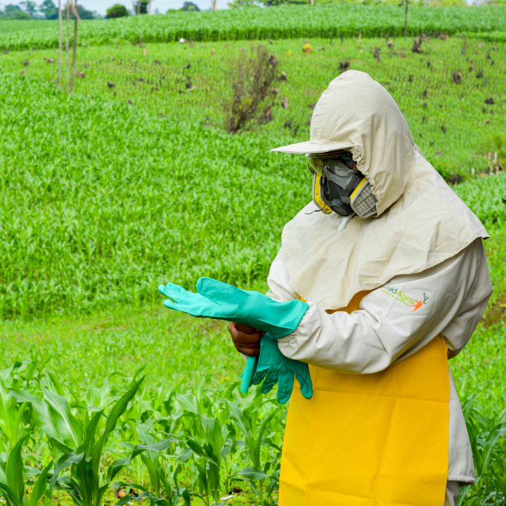Consejos para que los campesinos eviten el contagio de coronavirus