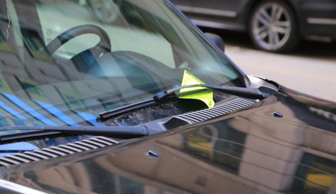 Pago de multas de carros Bogotá: Exoneran de pago a los infractores que tienen carros en los patios