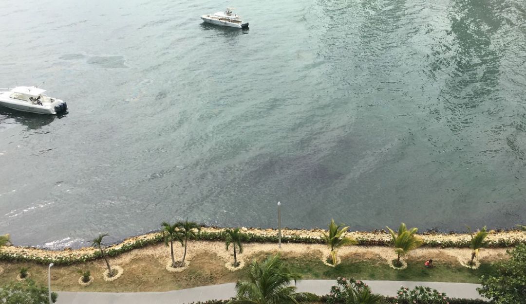 Coronavirus en Cartagena: Reporte positivo en Bahía de Cartagena por cese de operaciones marítimas