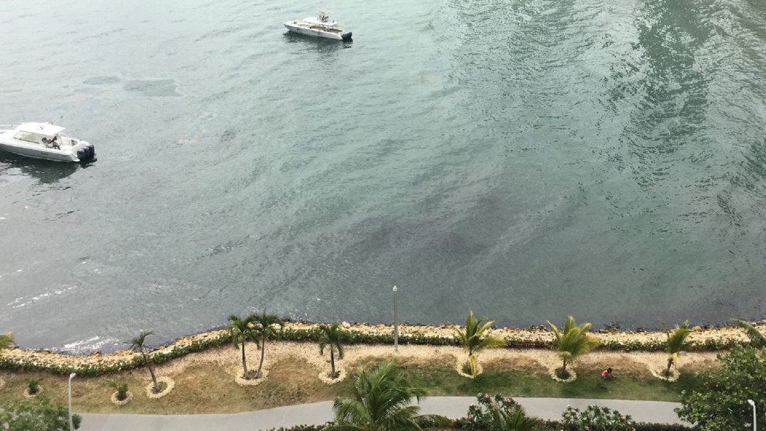 Reporte positivo en Bahía de Cartagena por cese de operaciones marítimas