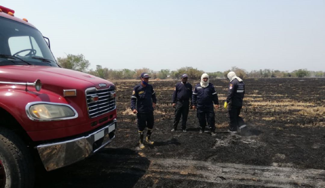 Incendios forestales en Cartagena: En Cartagena atienden tres incendios forestales de manera simultánea