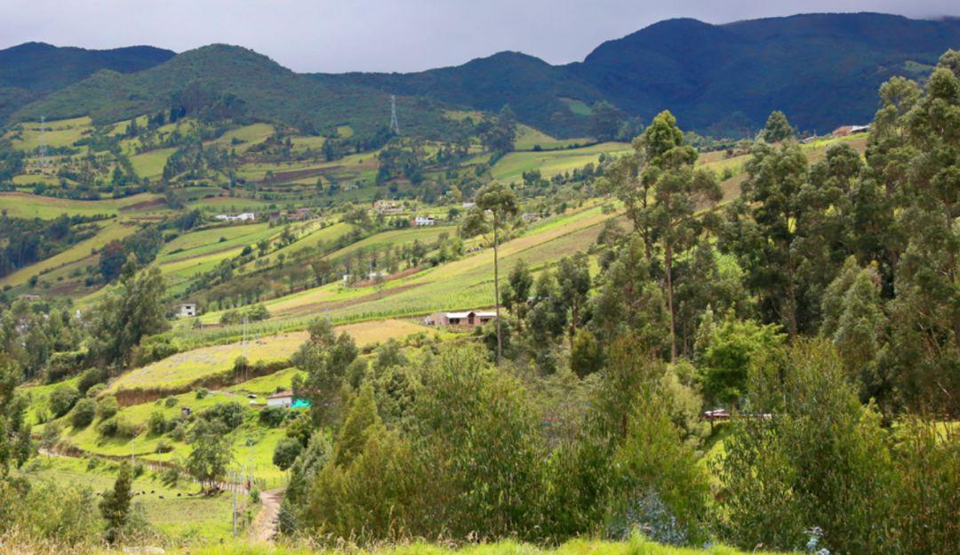 Así se enfrenta en el campo la amenaza del coronavirus