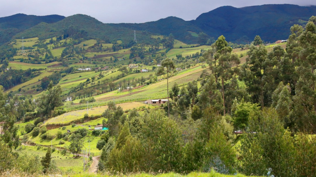 Así se enfrenta en el campo la amenaza del coronavirus