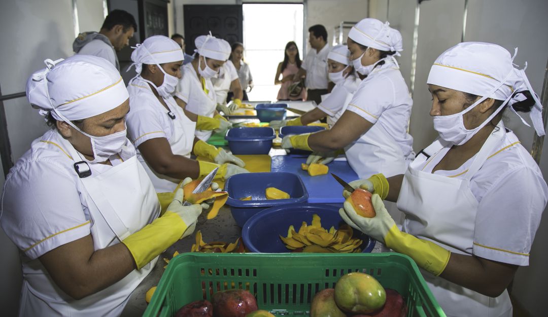 Mujeres emprendedoras de la Hacienda La Miel