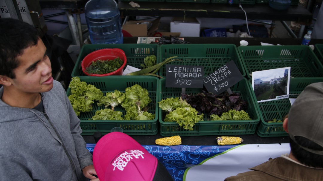 Altibajo de precios de alimentos en medio de la cuarentena