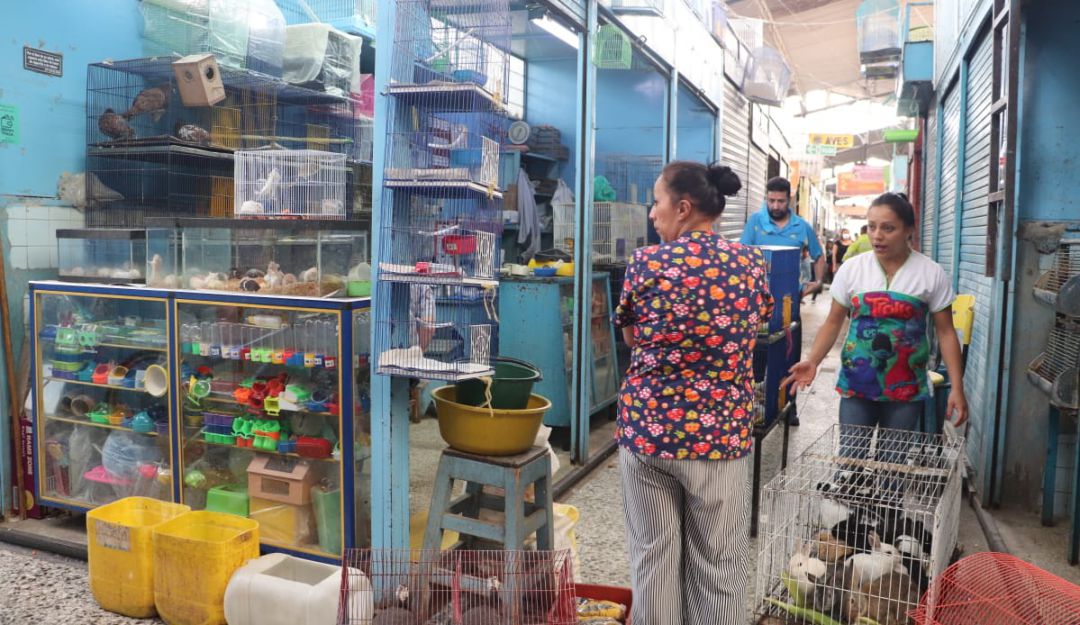 Más de 2.000 animales rescatados en Bogotá