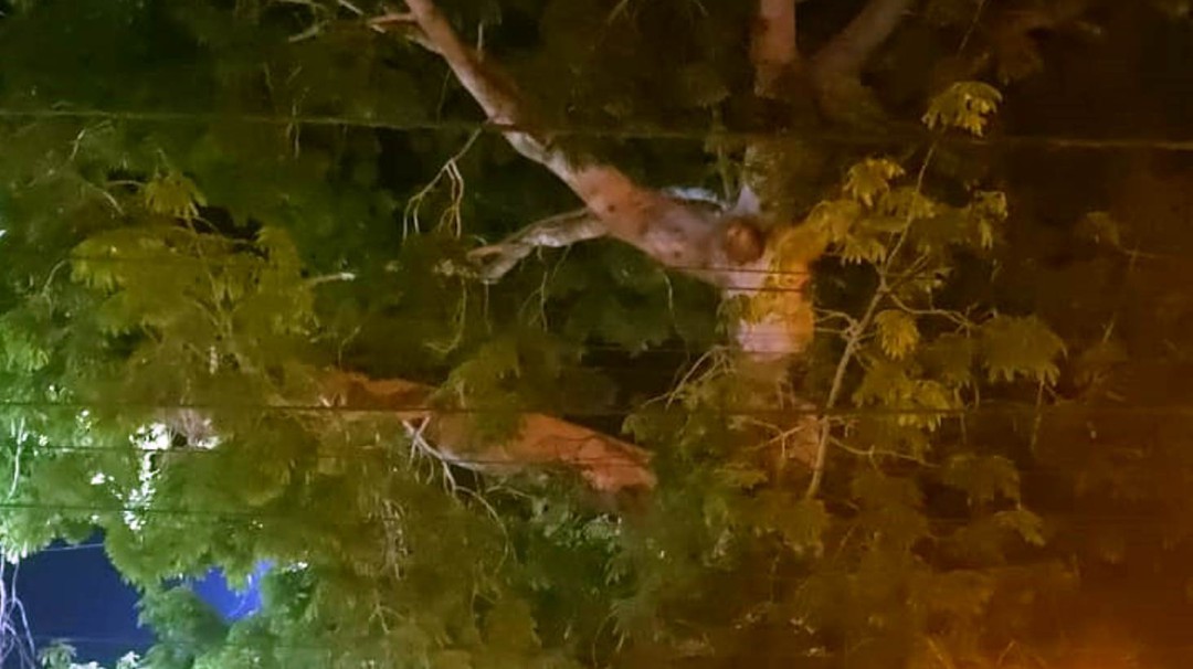 Aparece imagen de cristo crucificado en Magangué, Bolívar