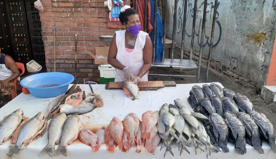 Alimentos en Cartagena: Precios de los pescados empieza a subir en el mercado de Cartagena