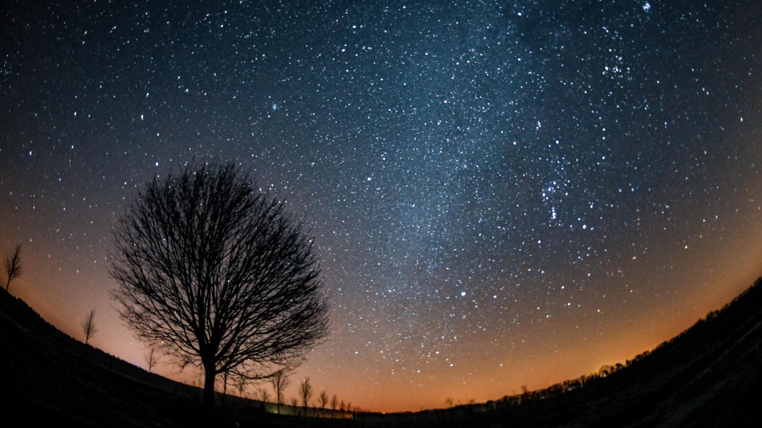 Conozca la influencia de Venus en el día a día