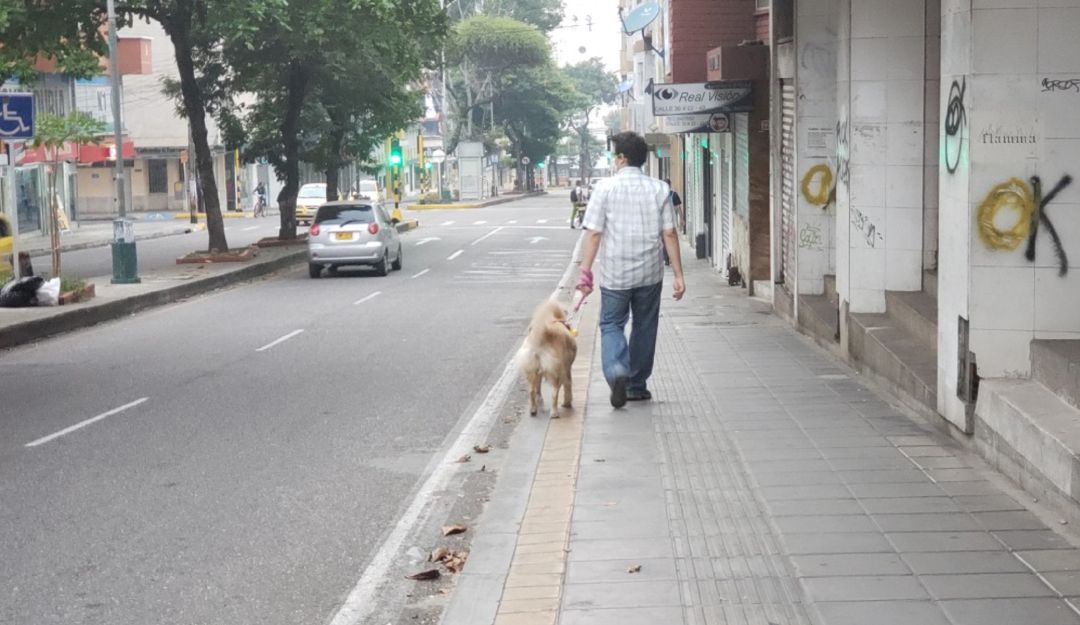 ¿Cómo es el cuidado de animales callejeros de Bogotá en la cuarentena?: ¿Cómo es el cuidado de animales callejeros de Bogotá en la cuarentena?
