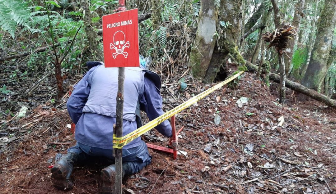 Minas antipersonas: Colombia alcanzó el 72% de la meta de desminado humanitario prevista