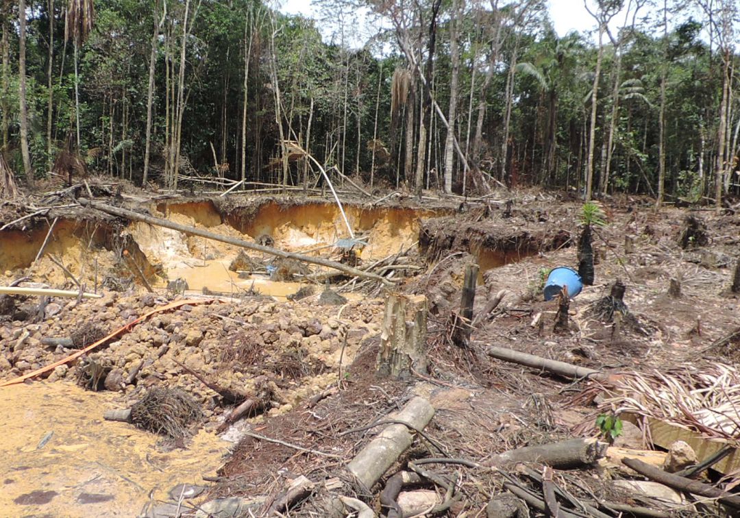 Sí ha sido posible reducir la deforestación